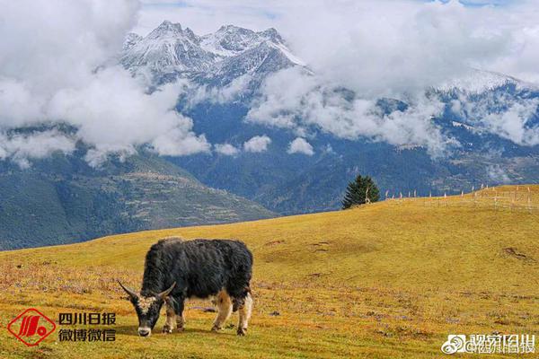 蘑菇-咬小头头原版观看蘑菇最新OG真人游戏咬小头头原版观看(图2)